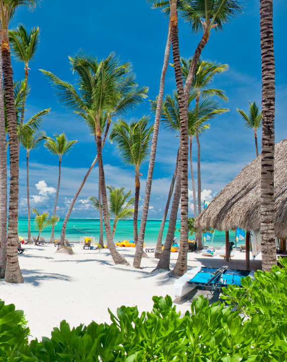 Dominicana